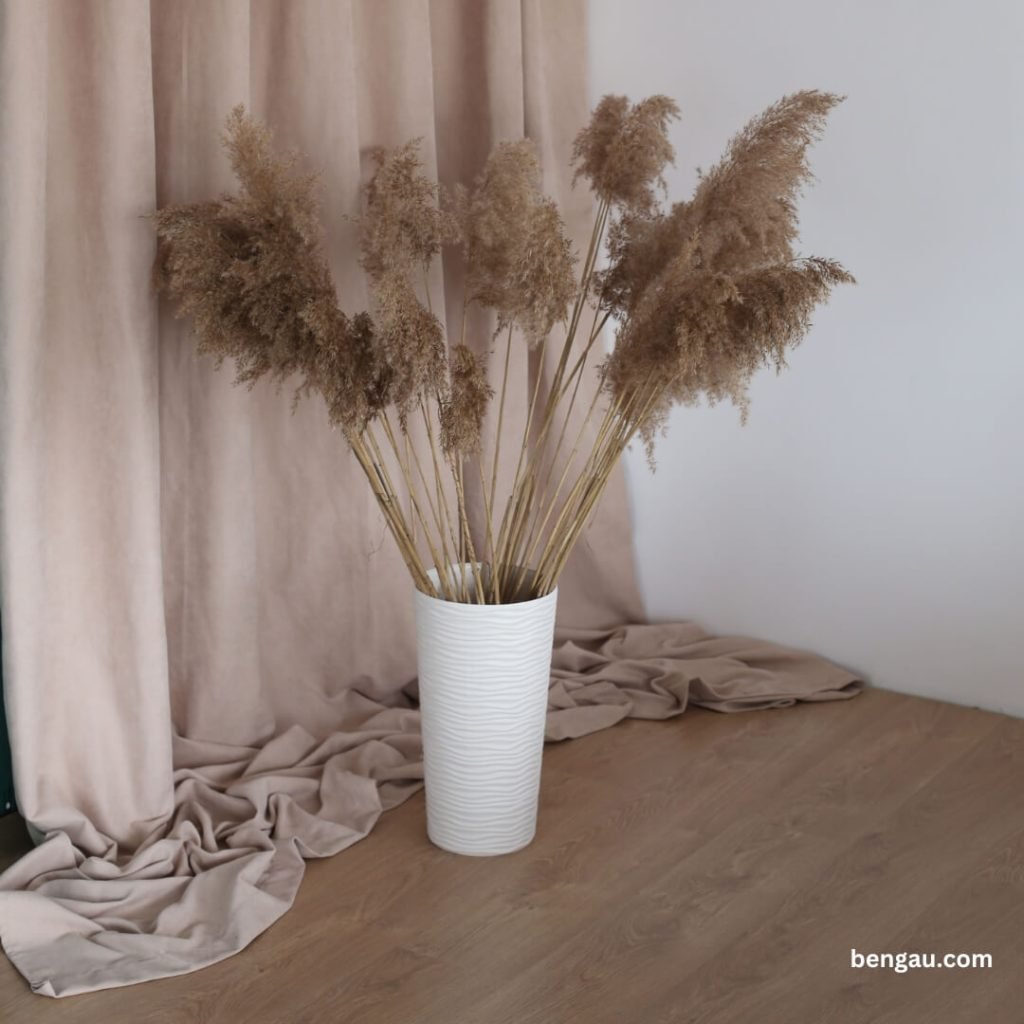 8 8 Bengau.com