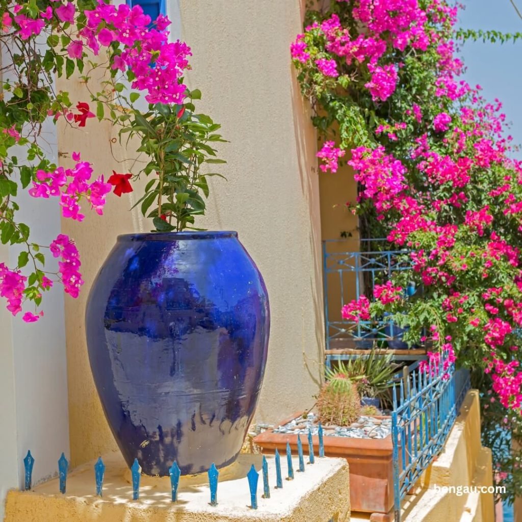 Vanjske vaze za cvijece Vanjske vaze za cvijeće